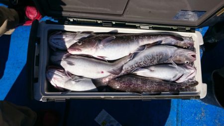 海龍丸（石川） 釣果