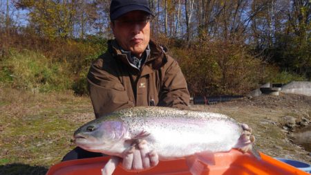 つりぼりあかし 釣果