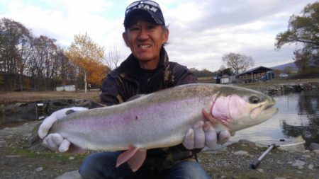 つりぼりあかし 釣果