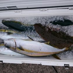 海龍丸（石川） 釣果