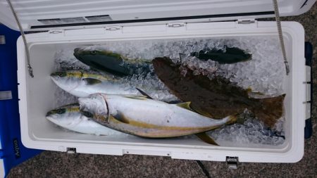 海龍丸（石川） 釣果