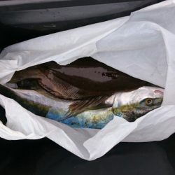 海龍丸（石川） 釣果