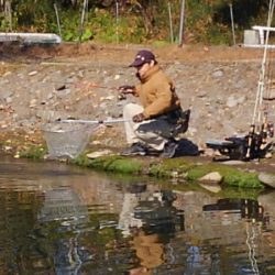 つりぼりあかし 釣果