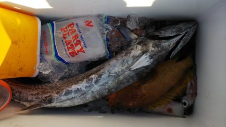 第二龍勢丸 釣果