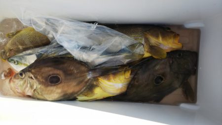 第二龍勢丸 釣果