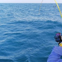 第二龍勢丸 釣果