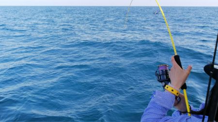 第二龍勢丸 釣果