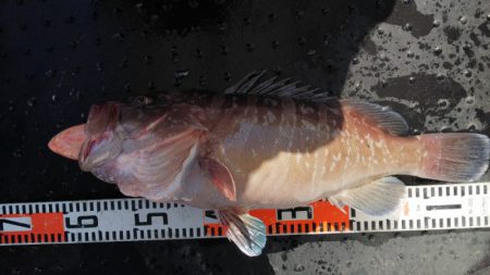 第二龍勢丸 釣果