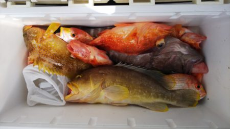 第二龍勢丸 釣果