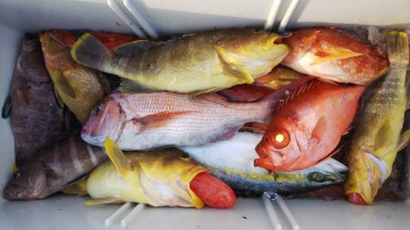 第二龍勢丸 釣果