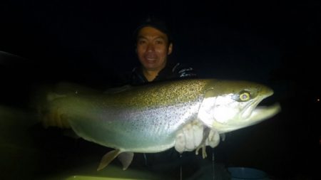 つりぼりあかし 釣果