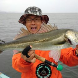 アマテラス 釣果