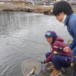 つりぼりあかし 釣果