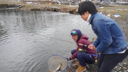 つりぼりあかし 釣果