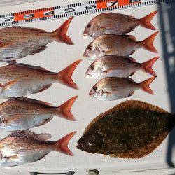 遊漁船 家入 釣果