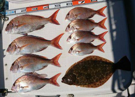 遊漁船 家入 釣果