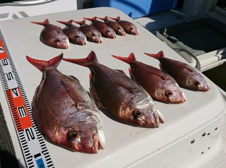 遊漁船 家入 釣果