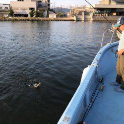 アマテラス 釣果