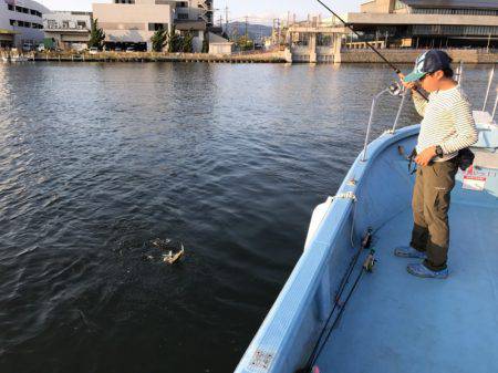 アマテラス 釣果
