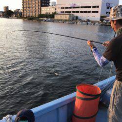 アマテラス 釣果