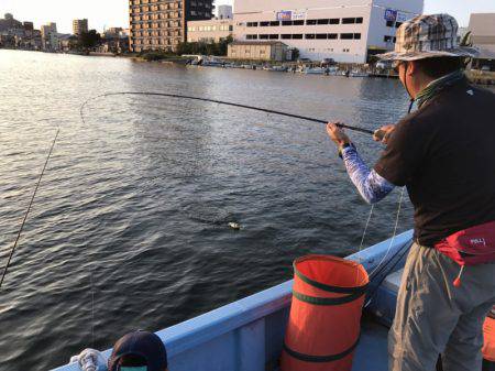 アマテラス 釣果