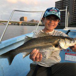 アマテラス 釣果