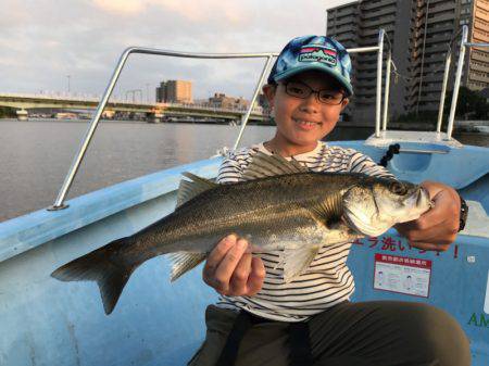 アマテラス 釣果