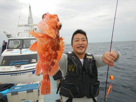 きずなまりん 釣果