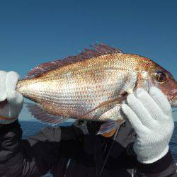 天祐丸 釣果