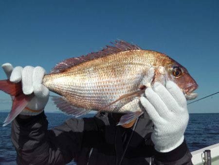 天祐丸 釣果