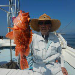 きずなまりん 釣果