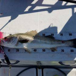 海龍丸（島根） 釣果