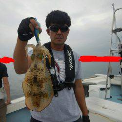 きずなまりん 釣果