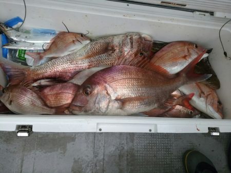 ありもと丸 釣果