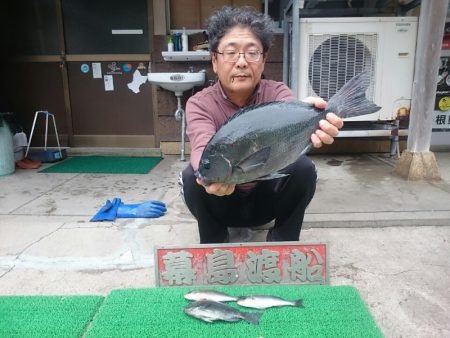 幕島丸 釣果