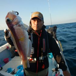 きずなまりん 釣果