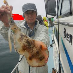 きずなまりん 釣果
