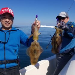 ソルトウォーターガイドフレンズ 釣果