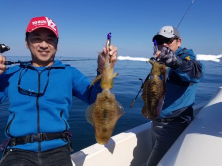 ソルトウォーターガイドフレンズ 釣果