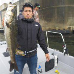 Chase（チェイス） 釣果
