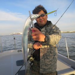 Chase（チェイス） 釣果