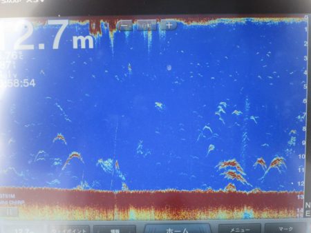 Chase（チェイス） 釣果