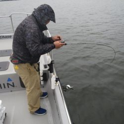 Chase（チェイス） 釣果