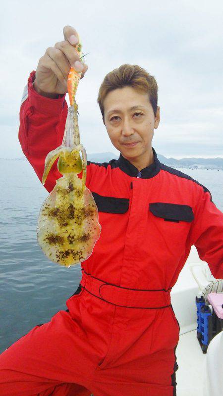 マリンガイド福丸 釣果