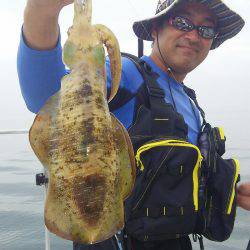 マリンガイド福丸 釣果