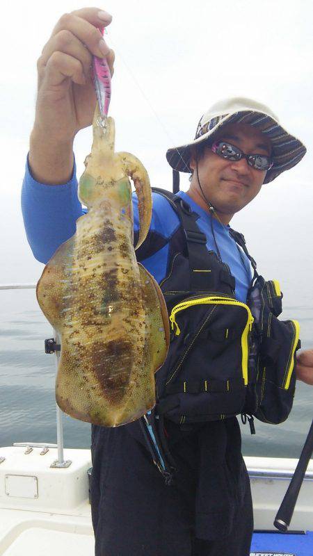 マリンガイド福丸 釣果