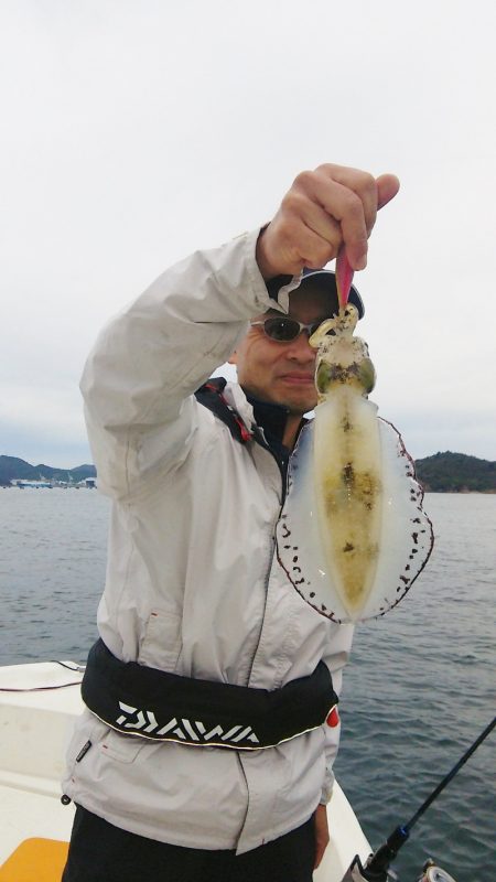 マリンガイド福丸 釣果