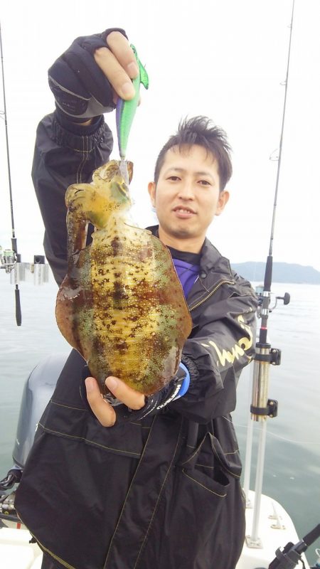 マリンガイド福丸 釣果