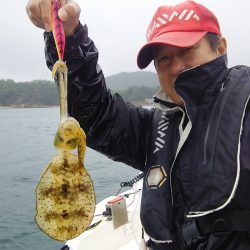 マリンガイド福丸 釣果