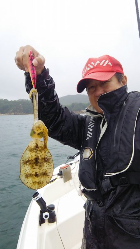 マリンガイド福丸 釣果